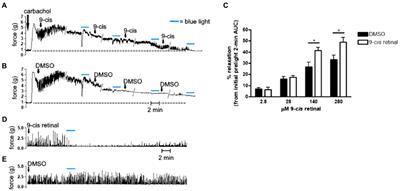 Light-Mediated Inhibition of Colonic Smooth Muscle Constriction and Colonic Motility via Opsin 3